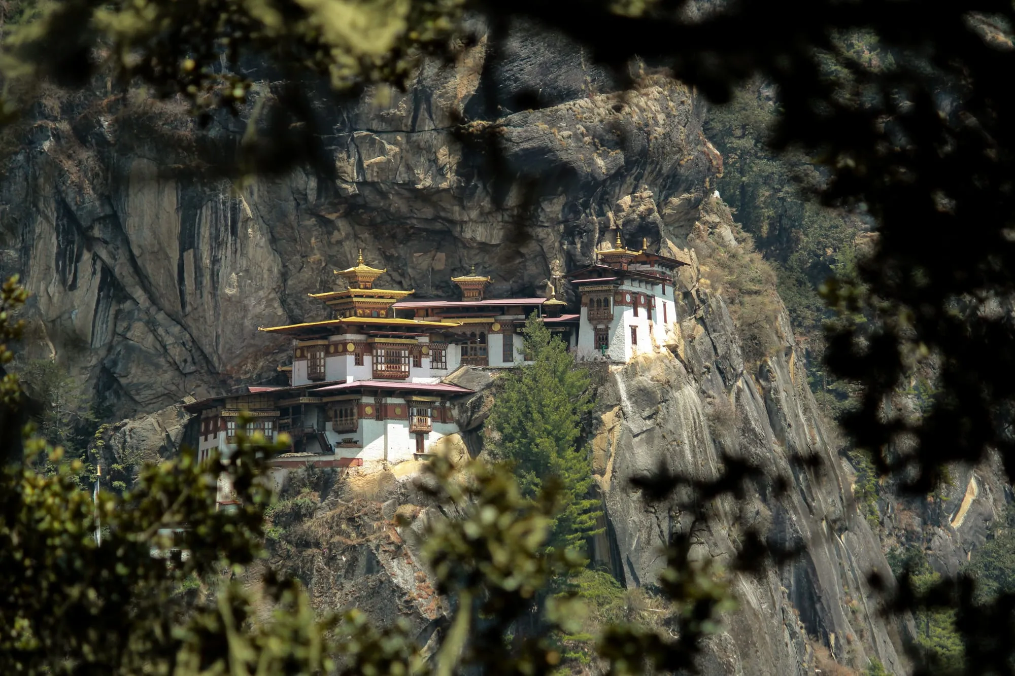 Paro Taktsang (Tiger’s Nest) monastery clinging to the cliff face high above the Paro valley