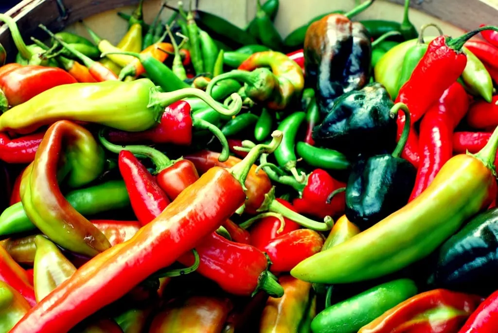 Bhutan Chillies