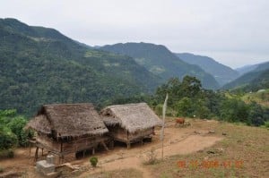 Traditional huts made from bamboo and banana leaves