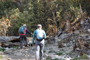 Trekking in Bhutan