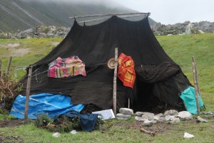 The Bjas or the black tents with a hundred pegs are used by the Bjobs, a semi-nomadic tribe who live in the higher mountains of Bhutan. They rear yaks and making a living off yak products.
