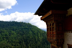 In the past decade, almost 15.7% of Thimphu’s 1,843 sq.km of land has been converted into commercial and residential complexes to accommodate rapid urbanization.